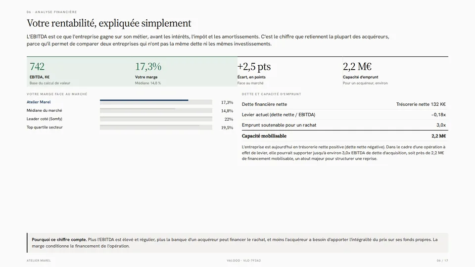 Page analyse financière : rentabilité, dette et capacité d'emprunt